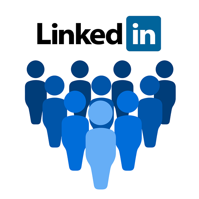 LinkedIn en la organización